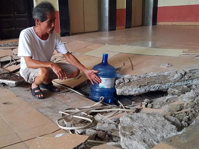 cắt cây xanh hà nội