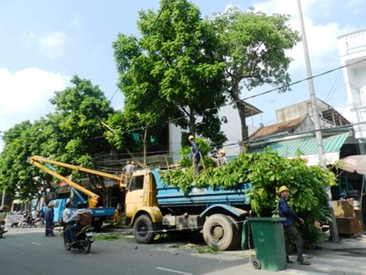 công ty cắt cây xanh hà nội