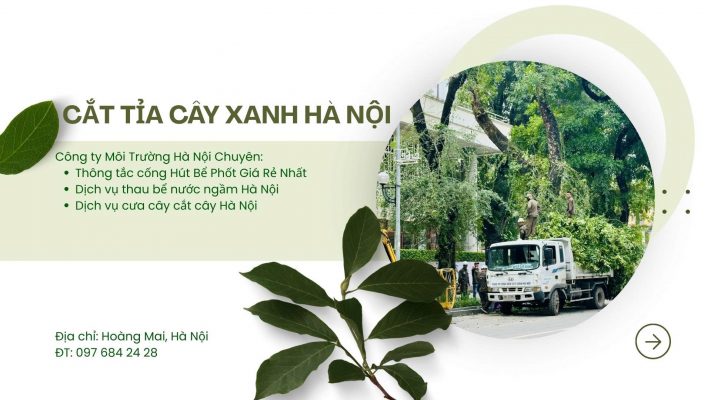 công ty cắt cây xanh hà nội-báo giá cắt cây trọn gói