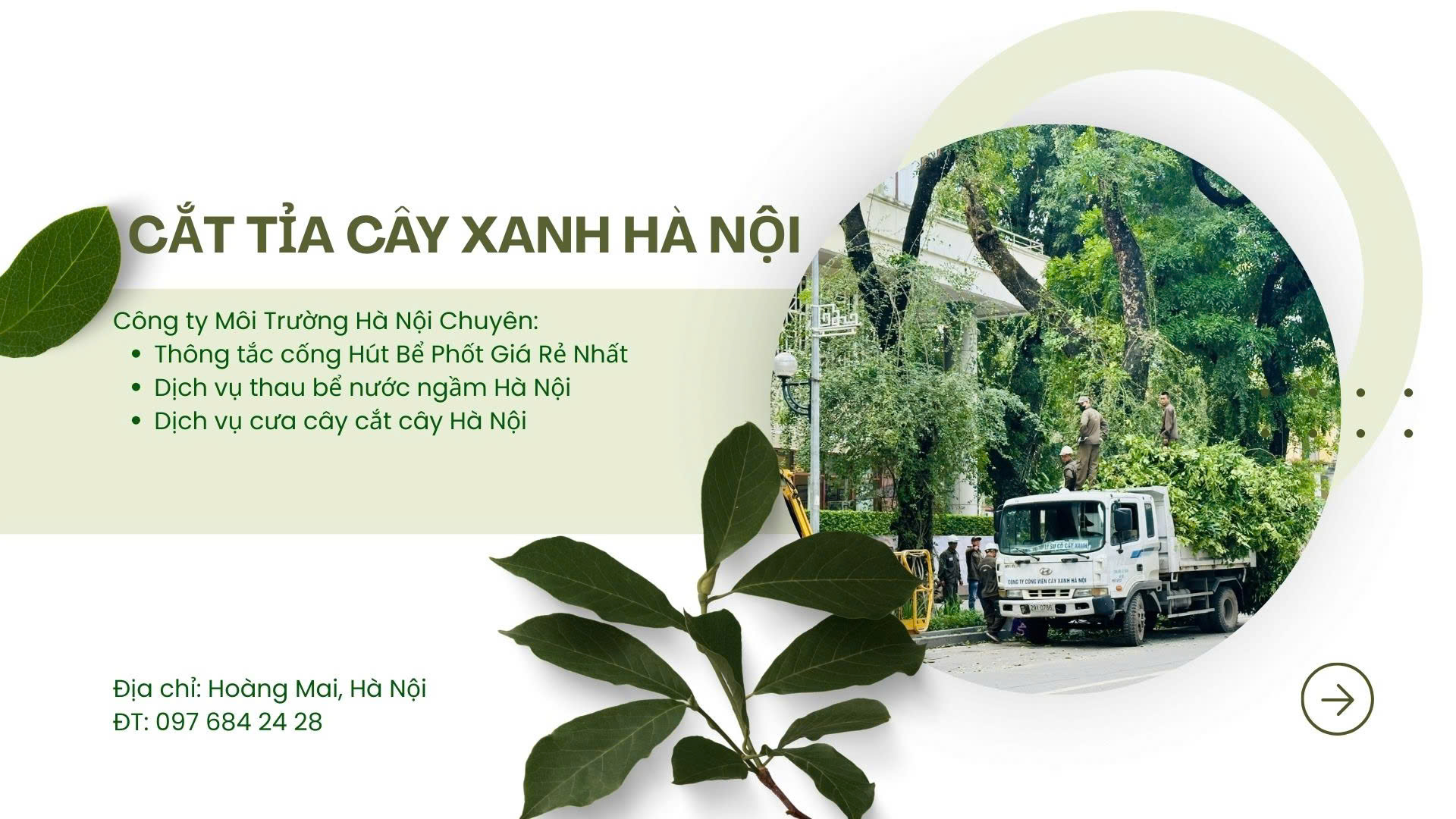 cắt cây xanh hà nội