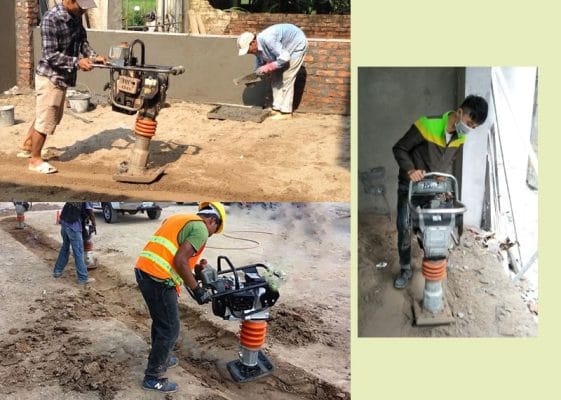 cắt cây xanh hà nội